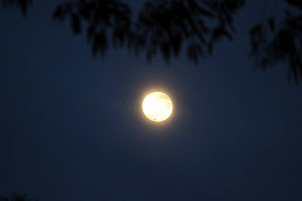 istock A captivating full moon illuminates the night sky 2243893141