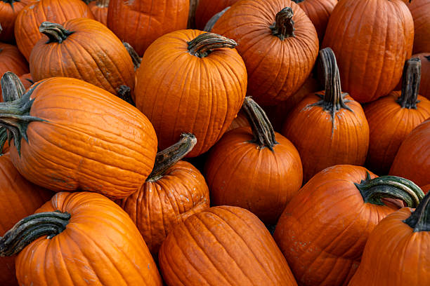 istock Pumpkins for sale on a market 2243898435