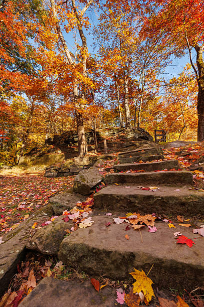A low-angle HDR view up a rustic flight of stone steps, scattered with colorful red and yellow maple leaves, leading up a hill in a sunlit autumn forest. Evokes themes of hiking and seasonal journeys.