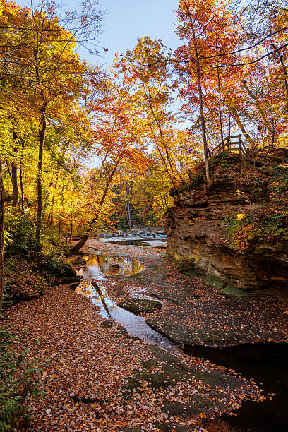istock Autumn Creek Bed Covered in Fallen Leaves 2243909812