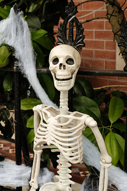 istock Smiling Halloween skeleton on a fence. 2243911425