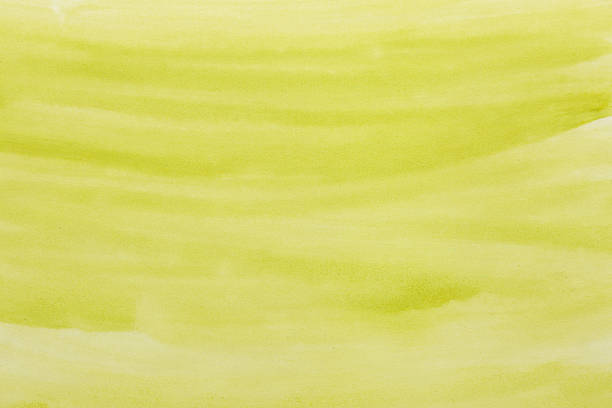 yellow watercolor background. hand painted by brush