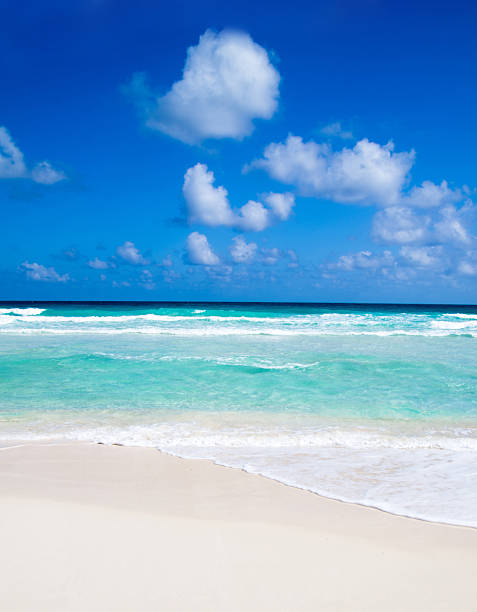 istock Sea beach. Tropical sea under the blue sky. 2243914498