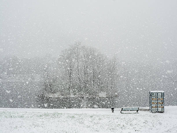 Big snowy winter. Minimalistic photo of a winter park in heavy snowfall. The silhouettes of the trees are barely discernible. Spectacular winter background.