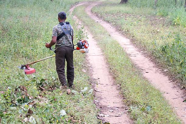 sanjay dubri tiger reserve, madhya pradesh, india- october 23, 2025: man cutting grass with a brush cutter along a forest trail inside tiger reserve.