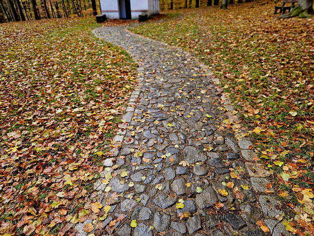 zigzag wave shape path made of pebbles shiny stones. ornamental and functional historic look park paving walkway