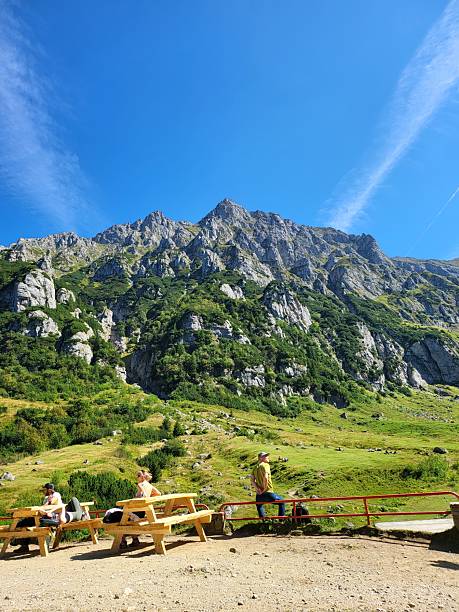 istock nature, mountain, brasov, little dog 2243918574