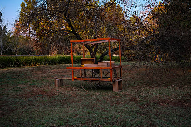 A rustic wooden cart with wooden crates stands in a quiet countryside field surrounded by trees and soft golden light. The warm tones and serene rural setting evoke simplicity, nostalgia, and the charm of handmade craftsmanship — ideal for themes of sustainability, farm life, or slow living.