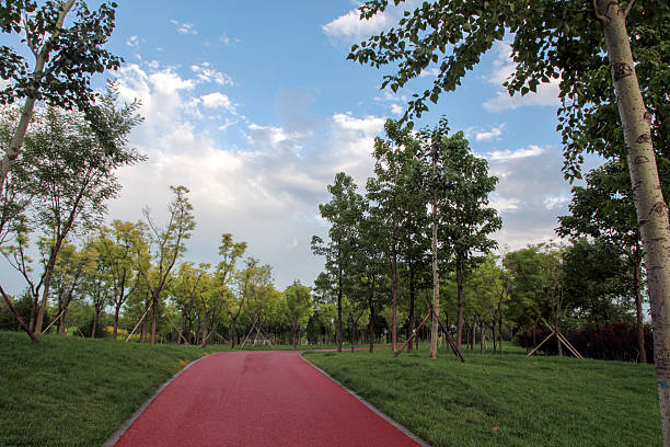 A red pathway amidst lush green trees and a clear blue sky with some clouds, creating a peaceful outdoor scene.