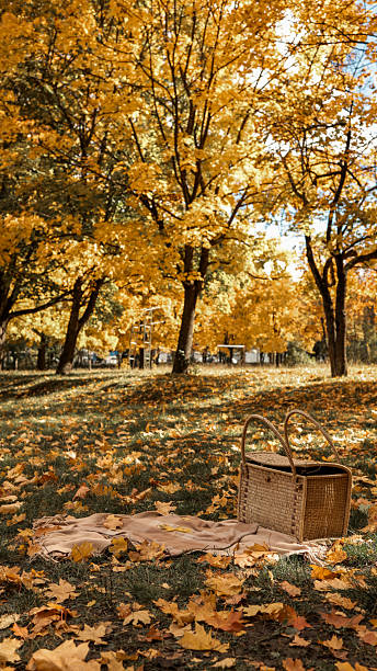 istock Autumn picnic scene with a basket and blanket under golden trees 2243921818