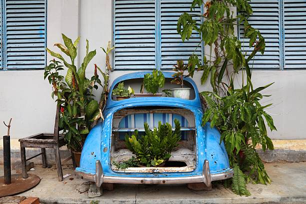 retro car decorated with flowers close-up as a sign of environmental safety. photo