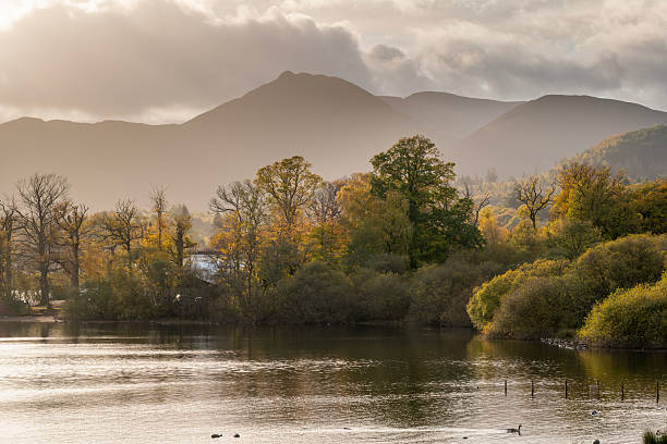 Looking towards Causey Pike across Dewent water