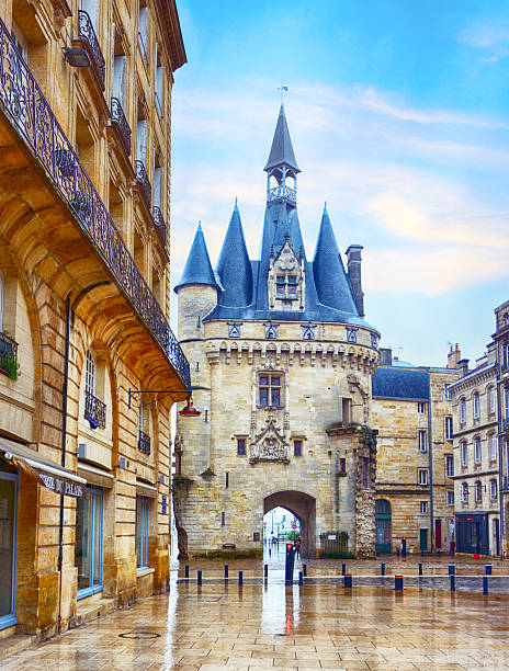 istock Cailhau Gate in Bordeaux, France 2243930449