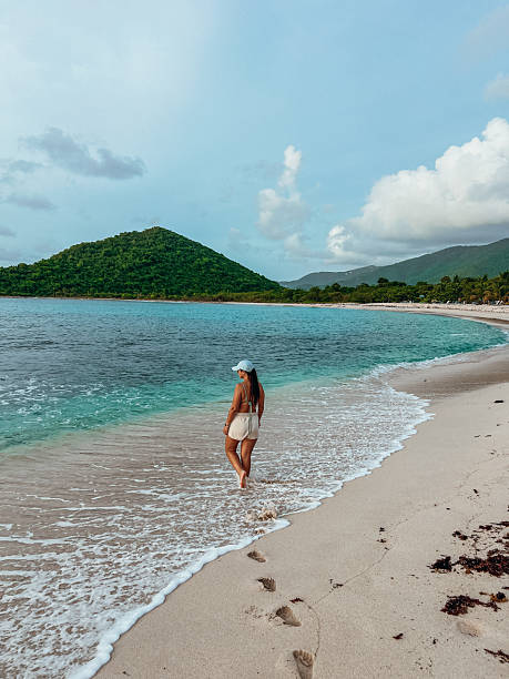 istock Woman Walking Alone on Tropical Beach Shore 2243933294