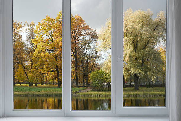 istock Window frame, view from the window  on yellow trees, landscape with autumn forest. 2243936287