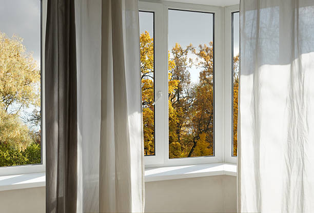 istock Window frame, view from the window  on yellow trees, landscape with autumn forest. 2243936303