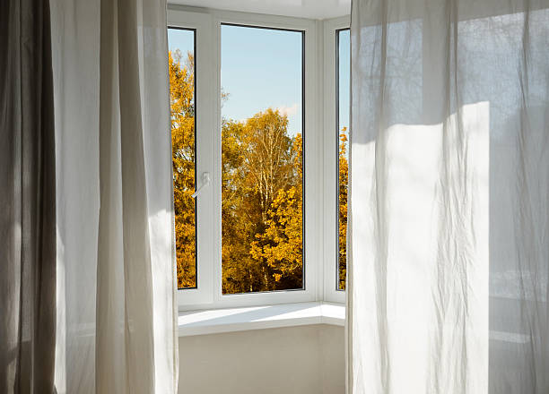 istock Window frame, view from the window  on yellow trees, landscape with autumn forest. 2243936309