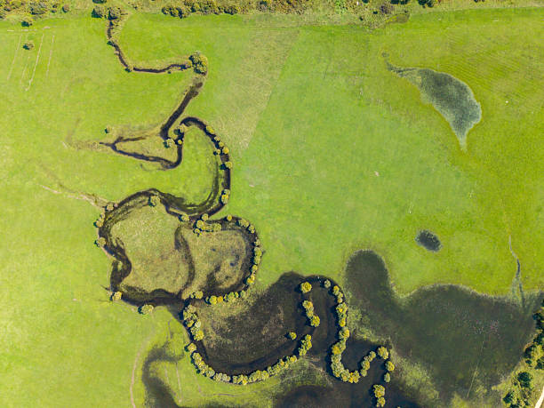 Curving river winding through lush green farmland with scattered trees along its banks. Scenic aerial landscape showing natural waterway and open rural fields. Countryside nature and agriculture.