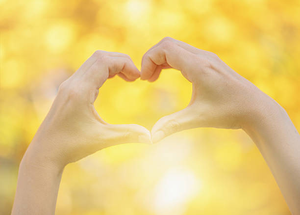 istock Hands in heart shape framing on nature background 2243941820
