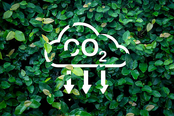 istock CO2 Emission Reduction Concept: Carbon Dioxide Icon on Green Leaf Background 2243942885
