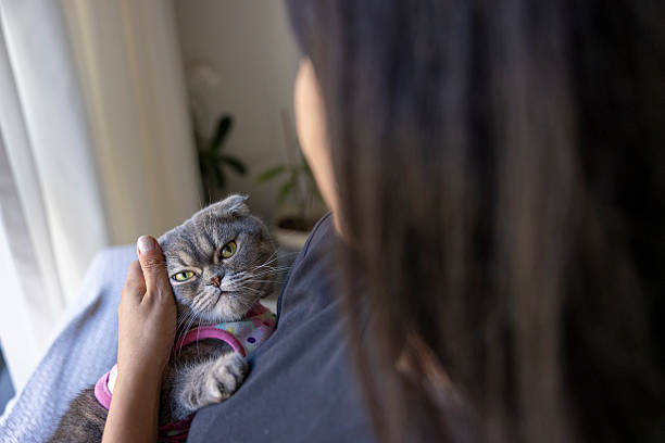istock woman loving cat 2243946657