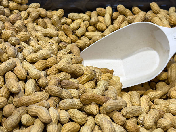 istock Abundance of peanuts with white scoop in bulk display 2243947821