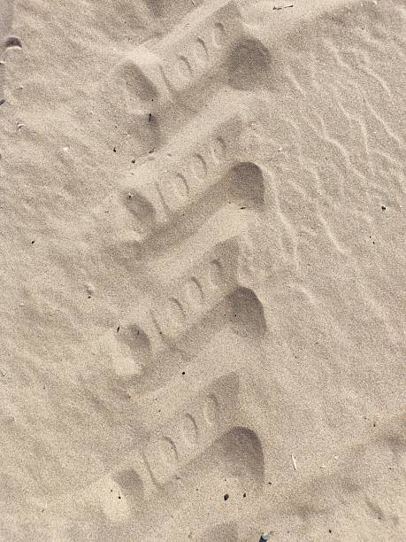 istock Desert Journey: Tire Tracks Etched in Sand 2243948493