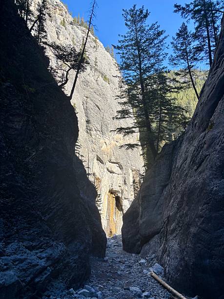istock The sun shines down into the Grotto Canyon Trail. 2243952230