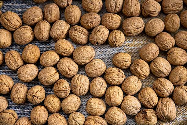 close up of walnuts