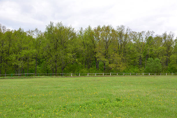 istock Lush Green Meadow Bordered by a Forest and Fence wallpaper 2243957368