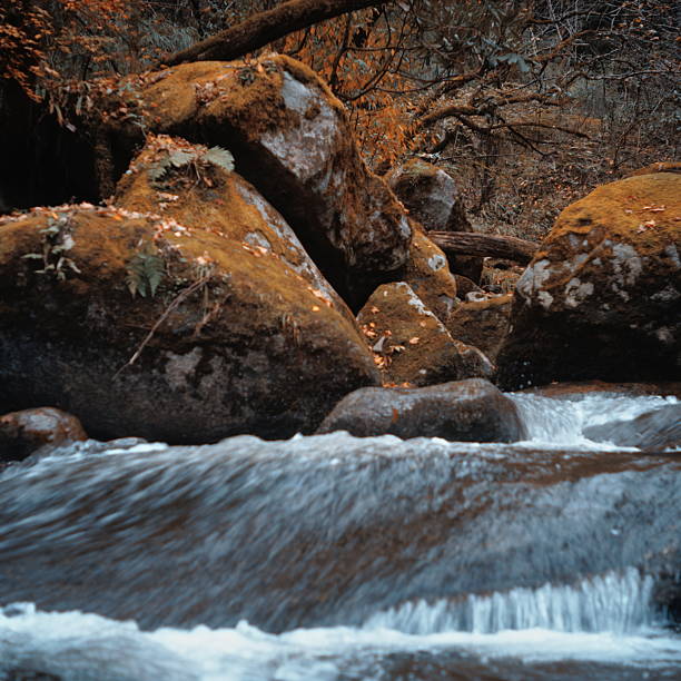 The Shicaohe Waterfall at Taiziling, Liuba County.