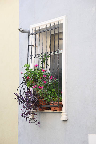 istock Flowering plants enhance window view in urban setting 2243960409