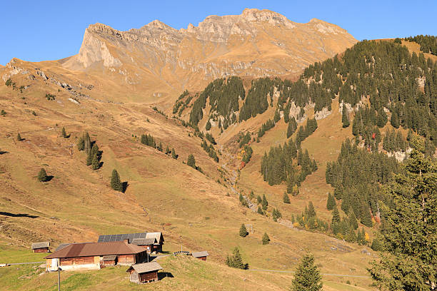 istock Hiking Paradise Over Grindelwald 2243961241