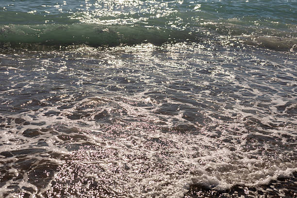 Gentle waves lapping the shore create a serene scene at the beach. Sunlight sparkles on the water, highlighting the beauty of this natural escape.