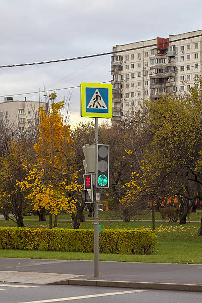 istock traffic light at pedestrian crossing 2243963142