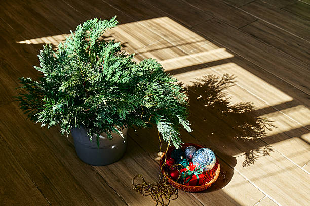 istock Creative natural Christmas tree in pot on wooden floor with gift boxes. 2243963863