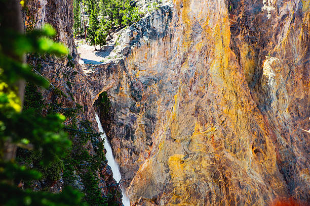 A narrow waterfall drops through a sheer slot beneath a small natural “window” in the canyon wall, surrounded by richly colored rhyolite and hydrothermally stained rock. Framing pines add depth while the sunlit cliff textures reveal Yellowstone’s dramatic geology.