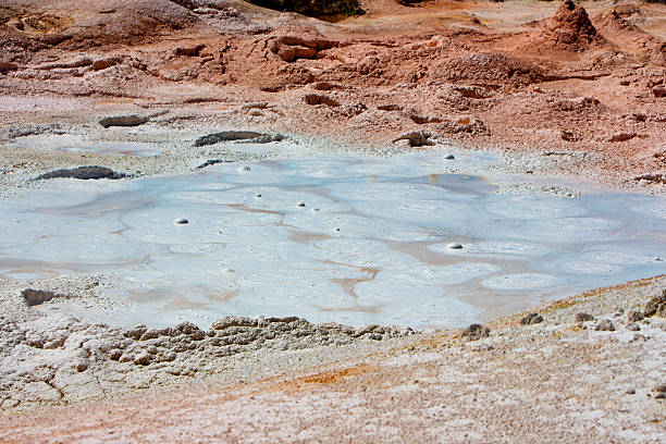 A shallow, milky-gray mudpot churns with concentric rings and dome-shaped bubbles, framed by pastel pink and white clay rims. Mineral crusts and small vents dot the edge, showing the acidic, steam-heated hydrothermal activity typical of Yellowstone’s Artist Paint Pots area.
