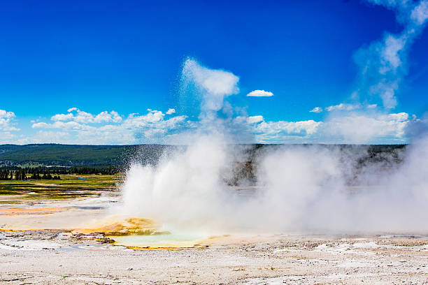 A Yellowstone geyser erupts amid a wide steam plume, sending water skyward beside a turquoise vent and orange mineral terraces. Pine forests and distant hills sit under a crisp blue summer sky.
