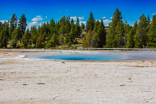 istock Blue Hot Spring with Steam Haze and Pine Forest, Yellowstone 2243966779