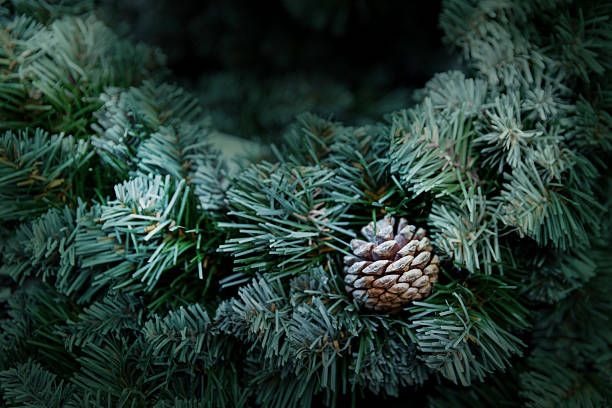 Xmas decor and Christmas baubles on a festive tree