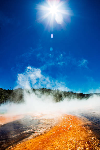 Vertical view at Grand Prismatic Spring, Yellowstone. A brilliant sunstar with lens flare hangs in a cobalt sky while thick steam rises across a forested ridge. In the foreground, the orange thermophile runoff and dark silica crust shimmer with reflected light.