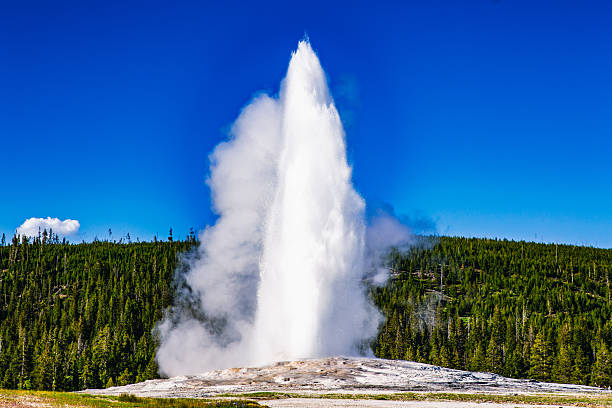 istock Old Faithful Erupting Under a Clear Wyoming Sky 2243968180