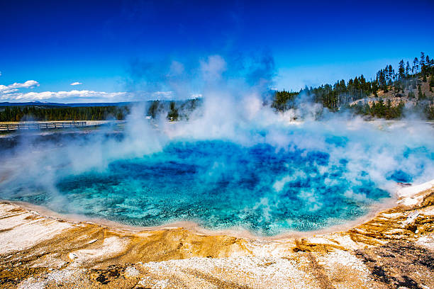 A vivid turquoise hot spring steams beneath a deep blue sky in Yellowstone National Park. Mineral-encrusted terraces and orange microbial mats ring the pool, while a wooden boardwalk and lodgepole pine forest frame the background.
