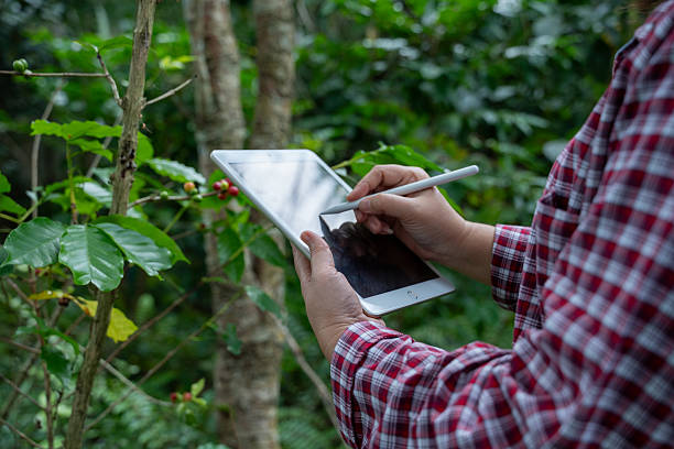 istock Farmer using digital tablet and stylus record data inspecting coffee plants on a plantation represents use modern technology in agriculture smart farming crop management. 2243970483