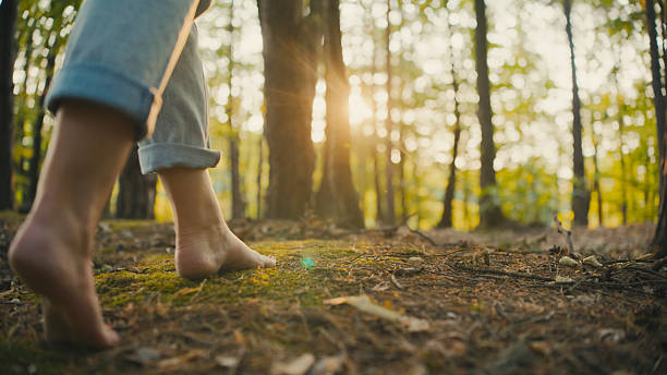 istock Caucasian Woman Enjoys Barefoot Walk Through Sunlit Forest 2243970949