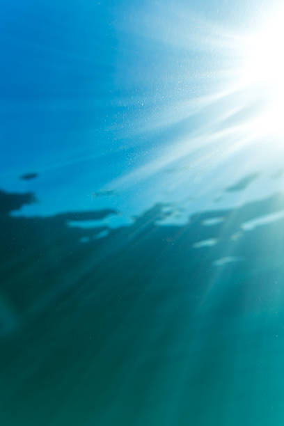 istock Under water view at the sun shining through the surface 2243971001