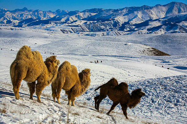 istock The Ushkonyr plateau in Kazakhstan 2243974227
