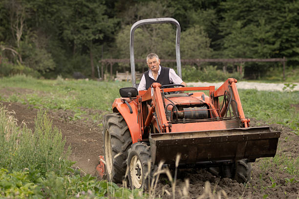 Children's tractor in a potato field
