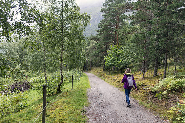 istock Solo mature woman hiker walks through idyllic, pristine Norwegian forest 2243976293